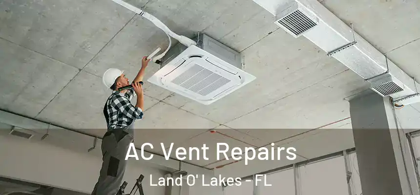 AC Vent Repairs Land O' Lakes - FL