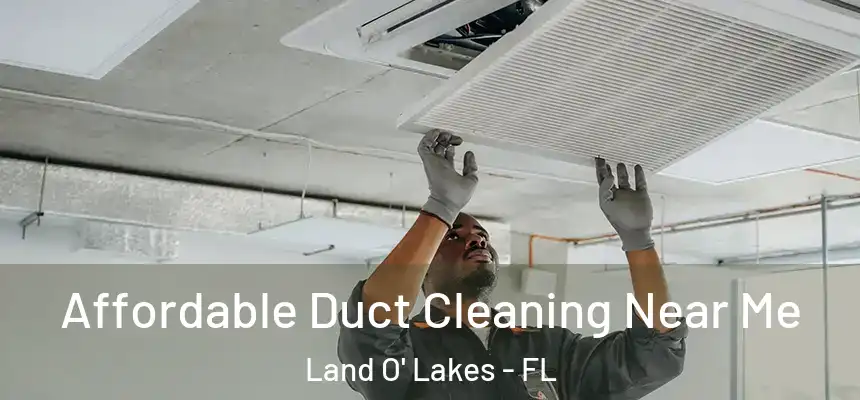 Affordable Duct Cleaning Near Me Land O' Lakes - FL