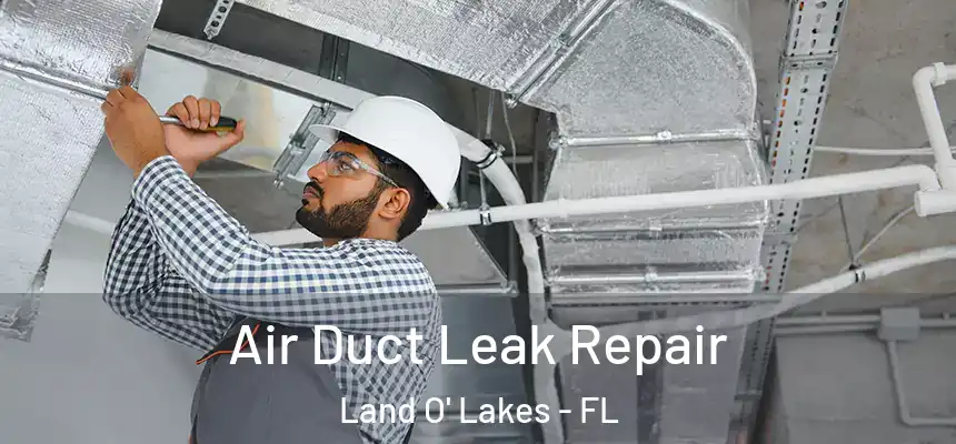 Air Duct Leak Repair Land O' Lakes - FL