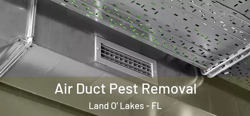 Air Duct Pest Removal Land O' Lakes - FL