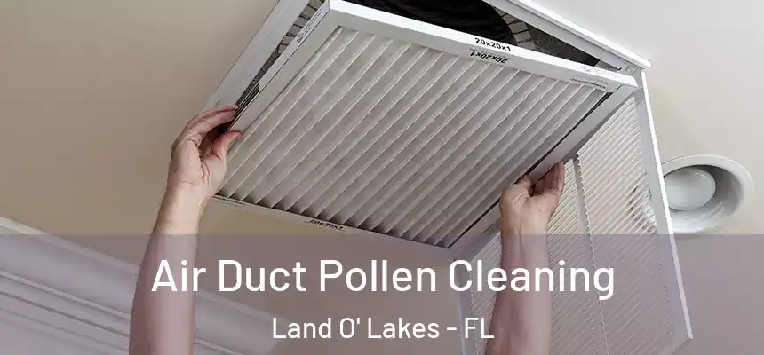Air Duct Pollen Cleaning Land O' Lakes - FL