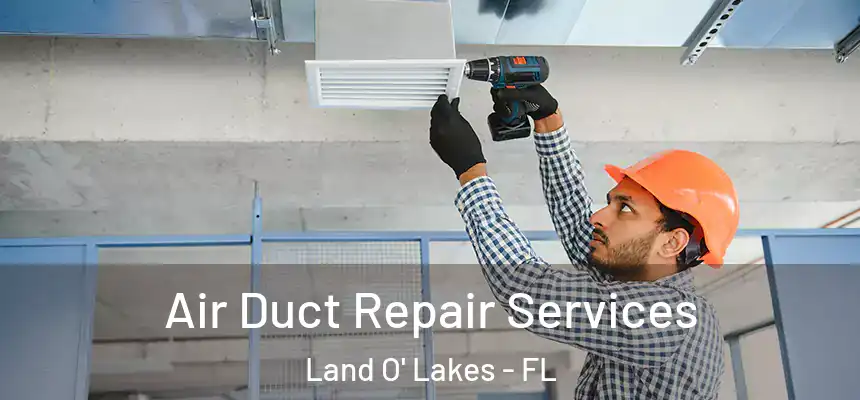 Air Duct Repair Services Land O' Lakes - FL
