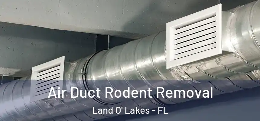 Air Duct Rodent Removal Land O' Lakes - FL