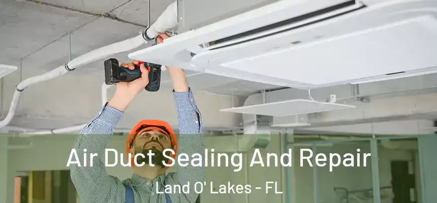 Air Duct Sealing And Repair Land O' Lakes - FL