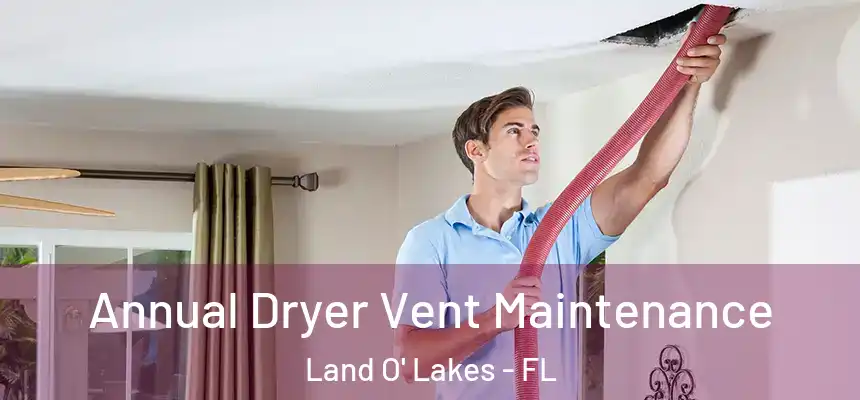 Annual Dryer Vent Maintenance Land O' Lakes - FL