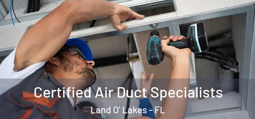 Certified Air Duct Specialists Land O' Lakes - FL
