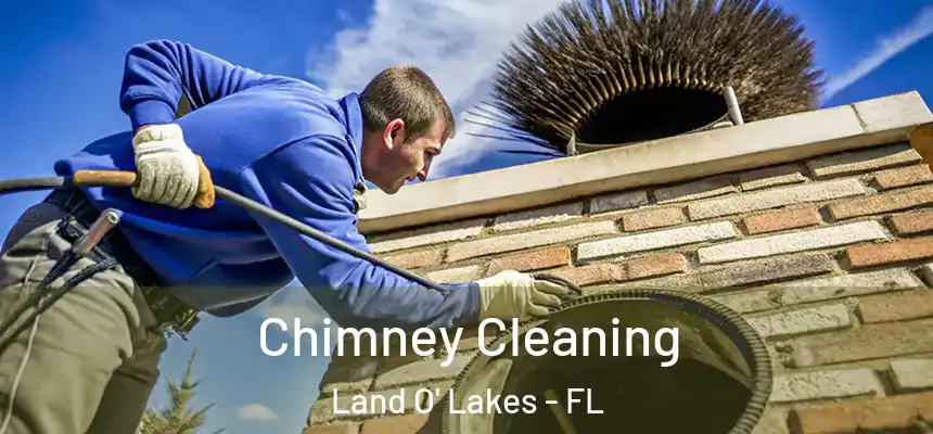  Chimney Cleaning Land O' Lakes - FL