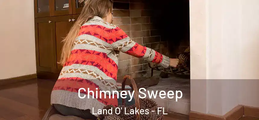 Chimney Sweep Land O' Lakes - FL