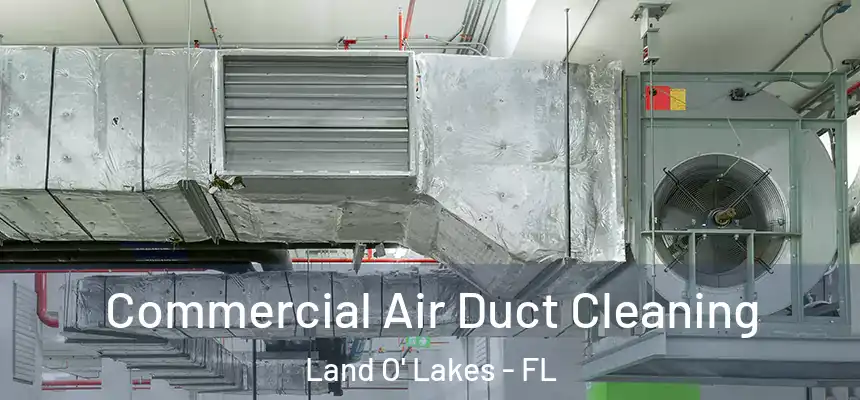 Commercial Air Duct Cleaning Land O' Lakes - FL