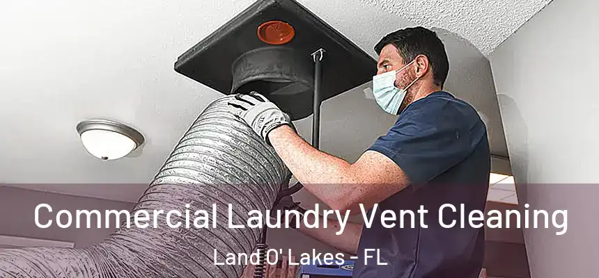 Commercial Laundry Vent Cleaning Land O' Lakes - FL