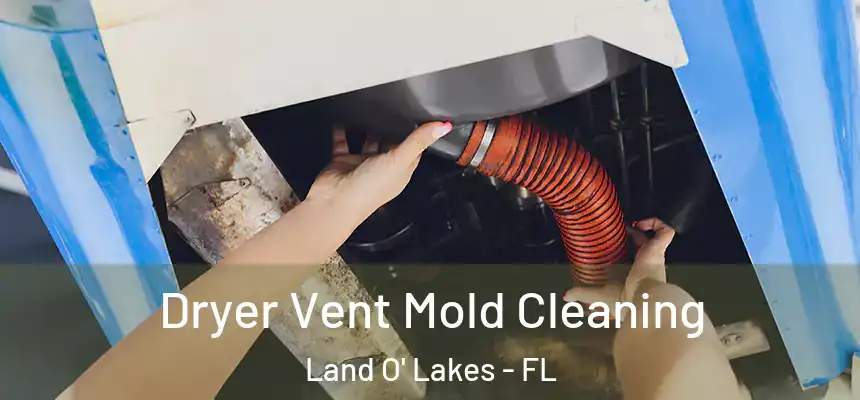 Dryer Vent Mold Cleaning Land O' Lakes - FL