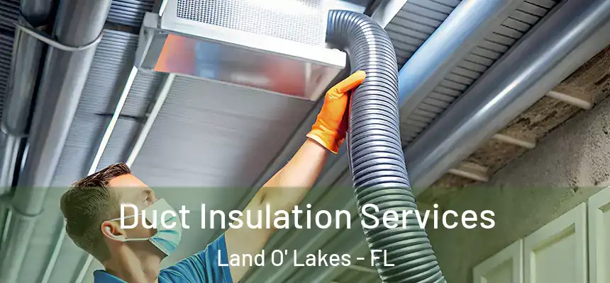 Duct Insulation Services Land O' Lakes - FL