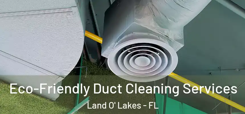  Eco-Friendly Duct Cleaning Services Land O' Lakes - FL