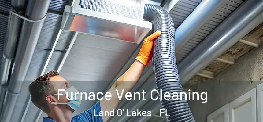 Furnace Vent Cleaning Land O' Lakes - FL