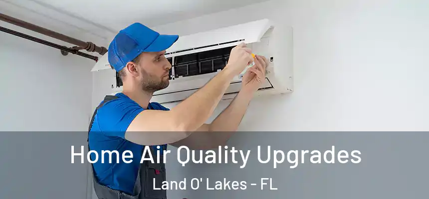 Home Air Quality Upgrades Land O' Lakes - FL