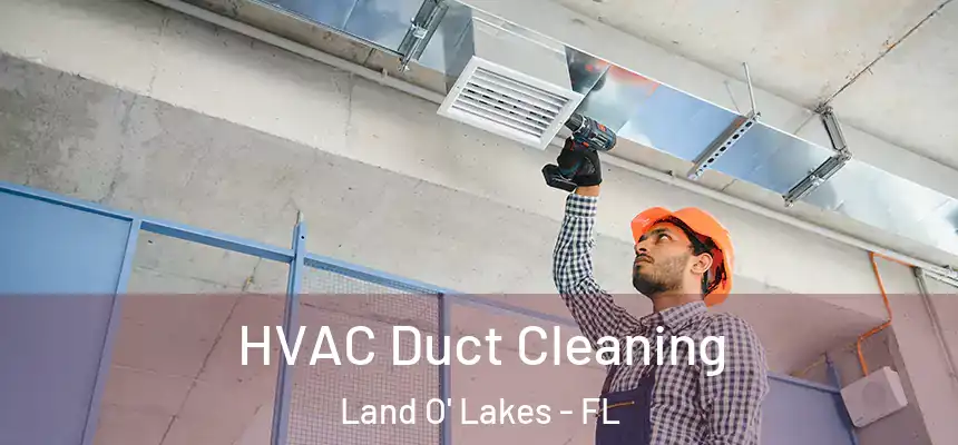 HVAC Duct Cleaning Land O' Lakes - FL
