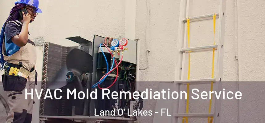 HVAC Mold Remediation Service Land O' Lakes - FL
