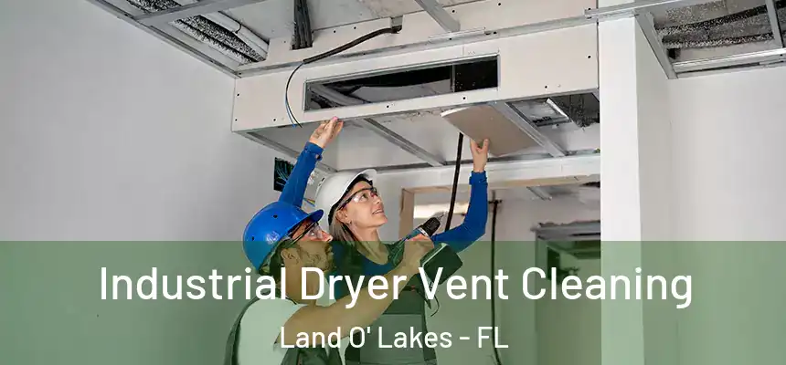 Industrial Dryer Vent Cleaning Land O' Lakes - FL