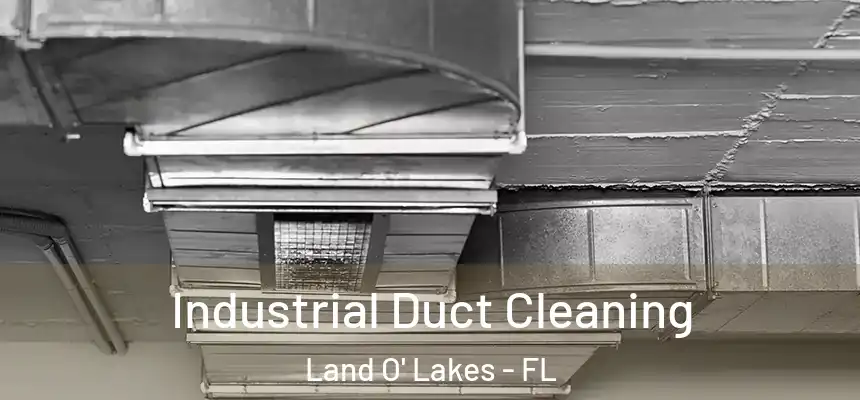Industrial Duct Cleaning Land O' Lakes - FL