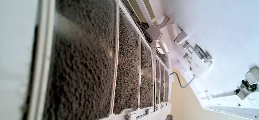 Preventive Air Duct Bacteria Removal in Land O' Lakes