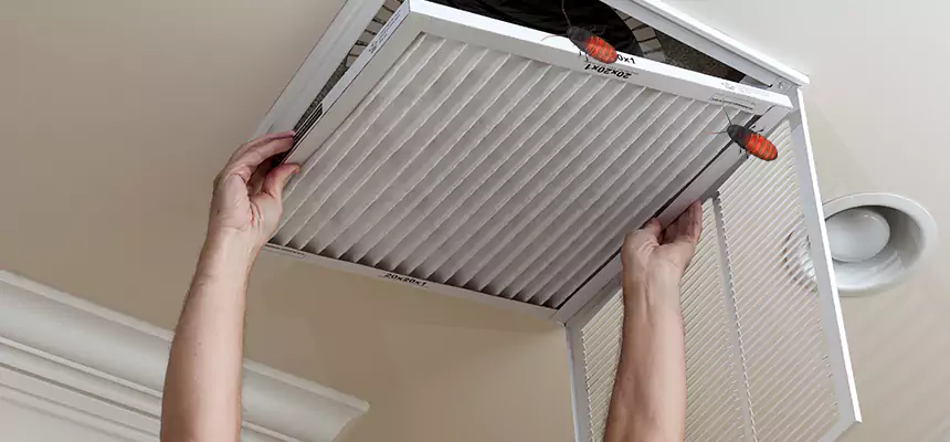 Preventive Cockroach-Proofing for Ducts in Land O' Lakes