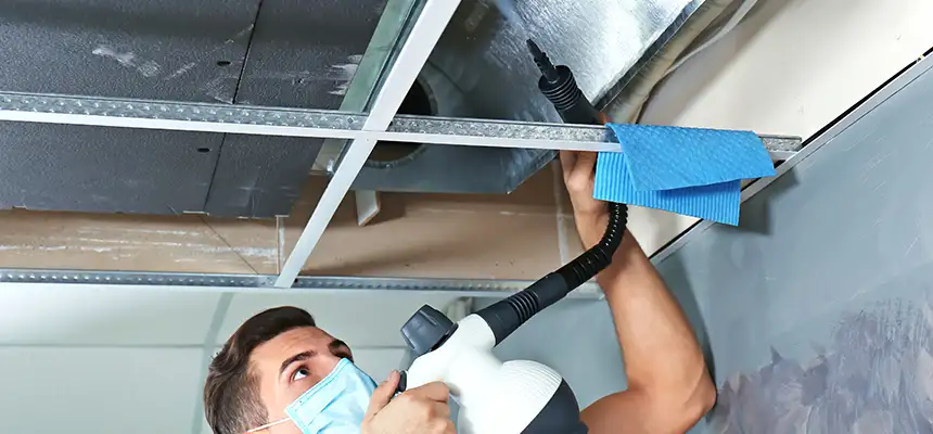 Our Air Duct Rodent Removal Services in Land O' Lakes, FL