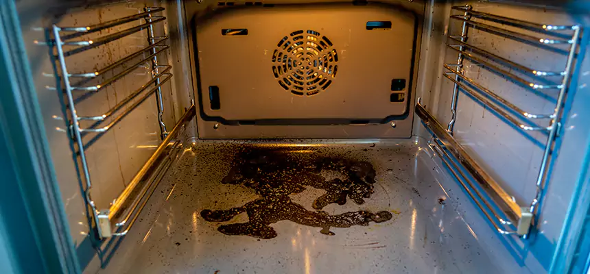 Our Dryer Vent Mold Cleaning Services in Land O' Lakes, FL