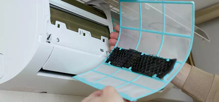 Gentle Ductwork Odor-Control Pet Dander Duct Cleaning in Land O' Lakes, FL