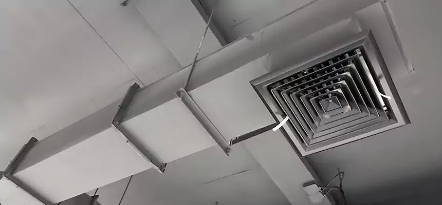 Our Rodent Droppings In Vents Services in Land O' Lakes, FL