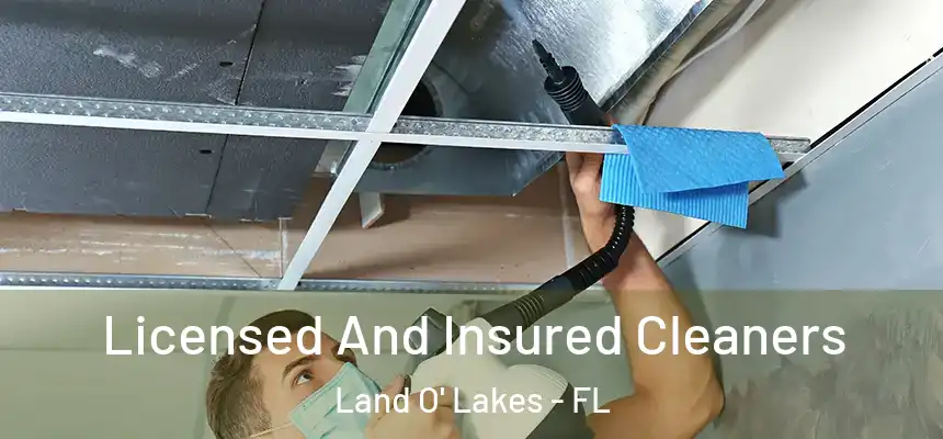 Licensed And Insured Cleaners Land O' Lakes - FL