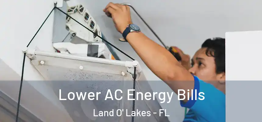 Lower AC Energy Bills Land O' Lakes - FL