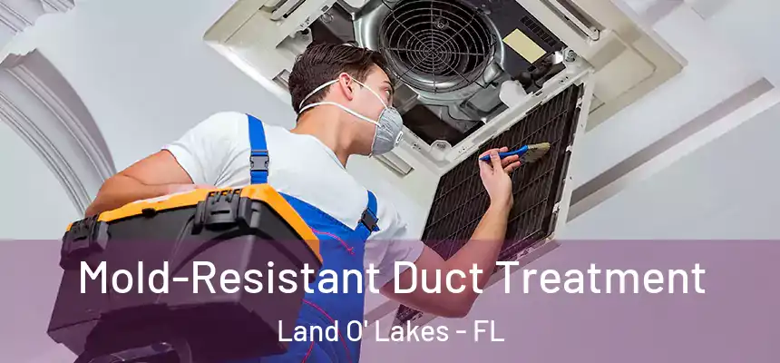 Mold-Resistant Duct Treatment Land O' Lakes - FL