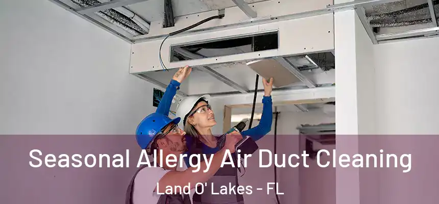 Seasonal Allergy Air Duct Cleaning Land O' Lakes - FL
