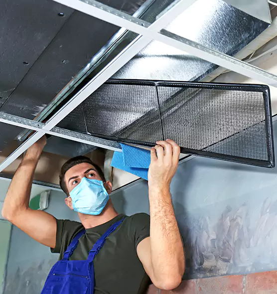 About Air Duct Bacteria Removal in Land O' Lakes