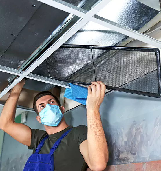 Professional Air Duct Pollen Cleaning in Land O' Lakes, FL