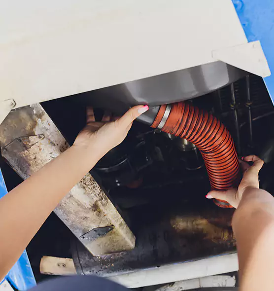 About Air Duct Virus Disinfection in Land O' Lakes, FL