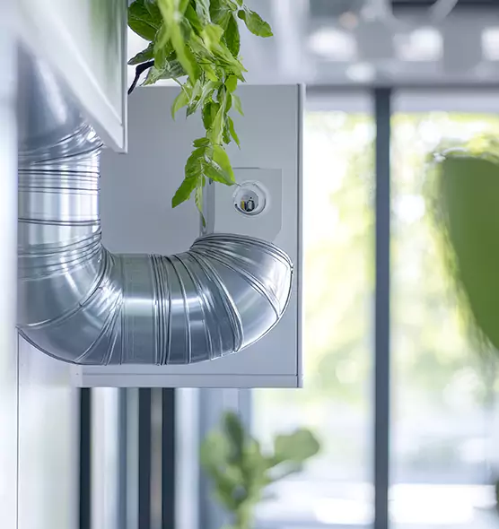 Professional Eco-Friendly Duct Cleaning Services in Land O' Lakes, FL