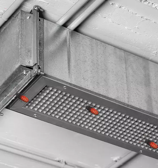 Affordable Insect Removal from Air Ducts in Land O' Lakes, FL