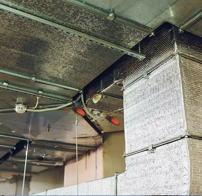 Why Homeowners & Businesses Trust Us in Land O' Lakes, FL?