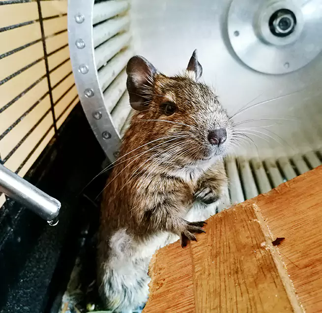 Why Homeowners & Businesses Trust Us Land O' Lakes, FL?