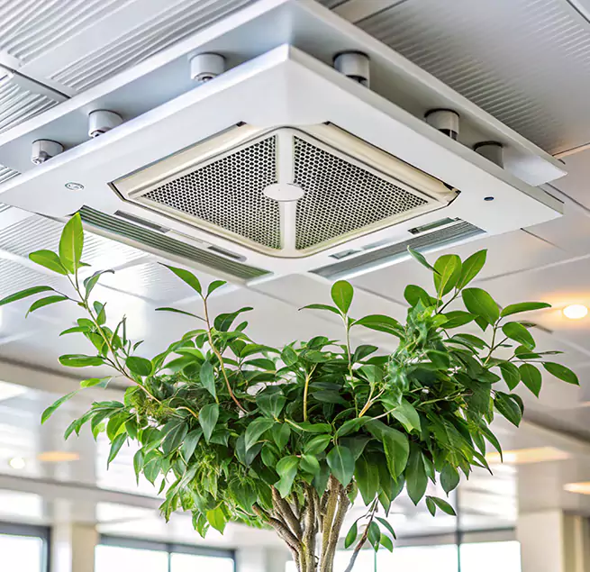 Why Homeowners & Businesses Trust Us in Land O' Lakes, FL