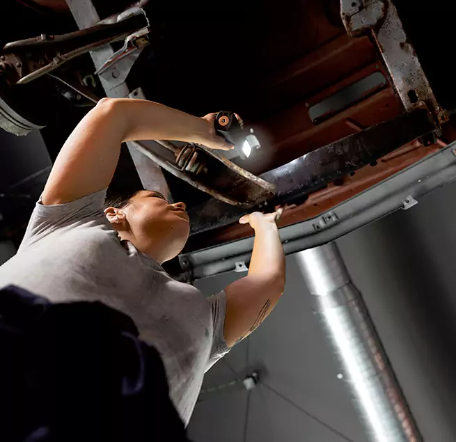 Why Homeowners & Businesses Trust Us Land O' Lakes, FL