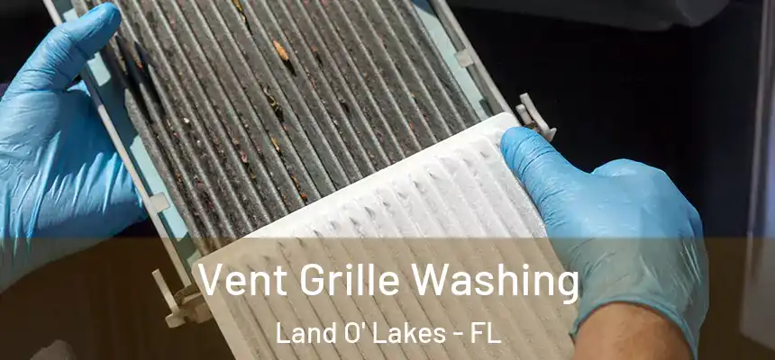 Vent Grille Washing Land O' Lakes - FL