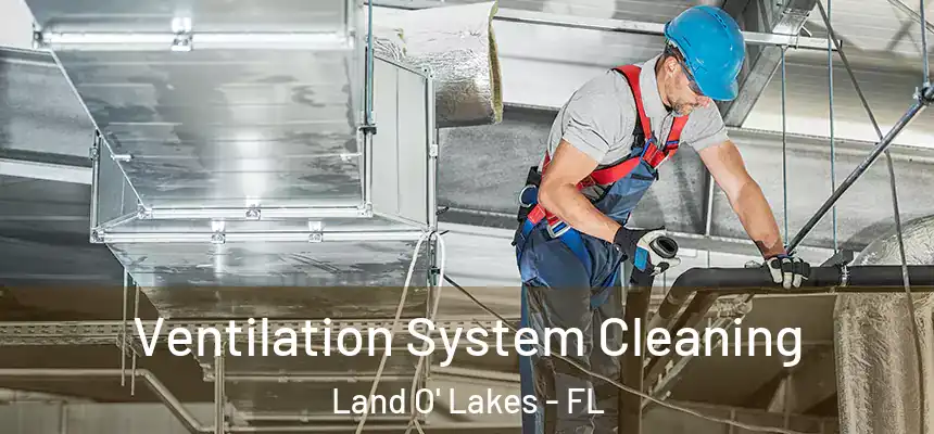 Ventilation System Cleaning Land O' Lakes - FL