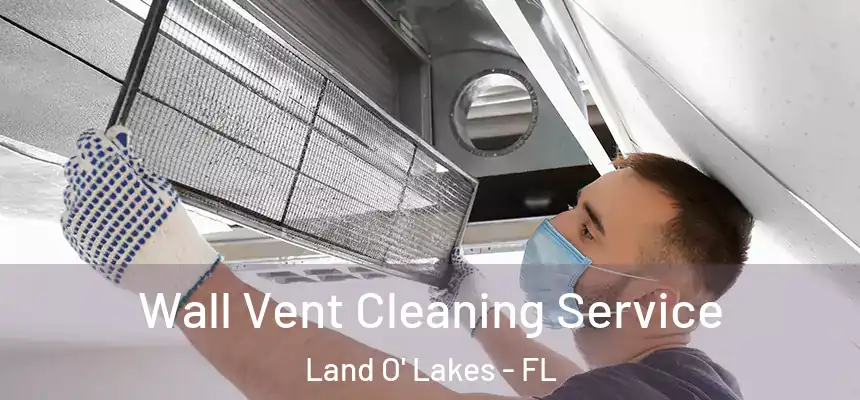 Wall Vent Cleaning Service Land O' Lakes - FL