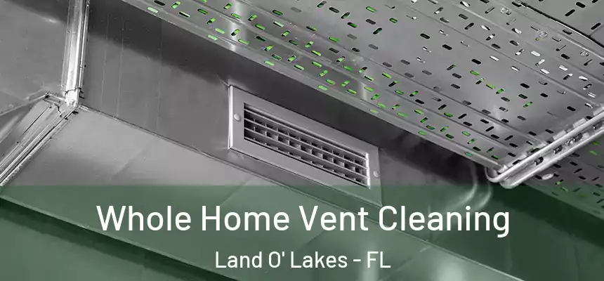 Whole Home Vent Cleaning Land O' Lakes - FL